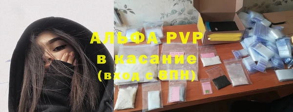 PSILOCYBIN Лабытнанги