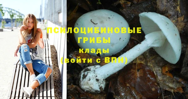 PSILOCYBIN Лабытнанги