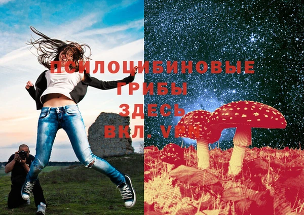 PSILOCYBIN Лабытнанги