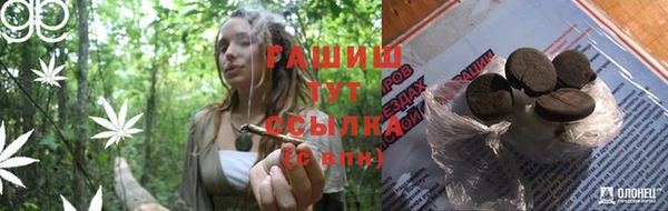 PSILOCYBIN Лабытнанги