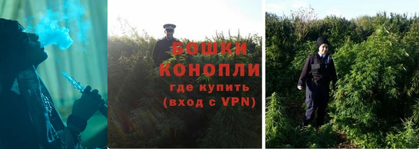 PSILOCYBIN Лабытнанги